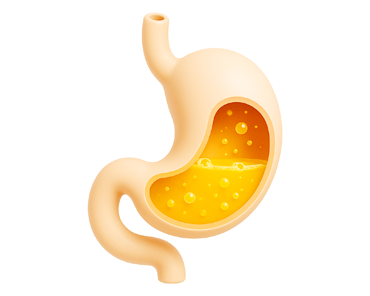 Гастроэнтеролог