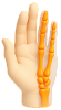 Диагностические мероприятия