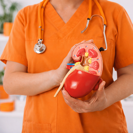 Обнаружили новообразование в почке, мочевом пузыре или простате? Не паникуйте!